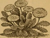 Picture 19 of 129 from The fountain; with jets of new meanings (1870), leaf 39