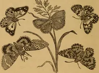 Picture 21 of 129 from The fountain; with jets of new meanings (1870), leaf 42