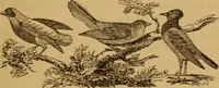 An illustration from The fountain; with jets of new meanings (1870)