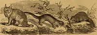 An illustration from The fountain; with jets of new meanings (1870)