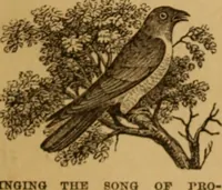 An illustration from The fountain; with jets of new meanings (1870)