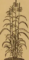 Picture 33 of 129 from The fountain; with jets of new meanings (1870), leaf 56