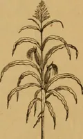 Picture 35 of 129 from The fountain; with jets of new meanings (1870), leaf 57
