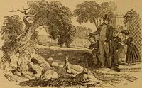 Picture 37 of 129 from The fountain; with jets of new meanings (1870), leaf 58