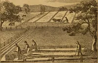Picture 46 of 129 from The fountain; with jets of new meanings (1870), leaf 74