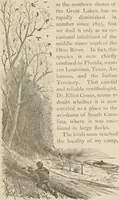 An illustration from Four months in a sneak-box : a boat voyage of 2600 miles down the Ohio and Mississippi Rivers, and along the Gulf of Mexico (1879)