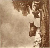 An illustration from Illustrated catalogue of the fourth series of 100 paintings by old masters of the Dutch, Flemish, Italian, French, and English schools : being a portion of the Sedelmeyer Gallery, which contains about 1500 pictures by ancient and modern artists (1897)
