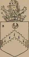Picture 215 of 430 from The four visitations of Berkshire made and taken by Thomas Benolte, Clarnceuc, anno 1532; by William Harvey, Clarnceux, anno 1566; by Henry Chiting, Chester herald, and John Philipott, Rouge dragon, for William Camden, Clarenceux, anno 1623; and by Elias Ashmole, Windsor herald, for Sir Edward Bysshe, Clarenceux, anno 1665-66 (1907), leaf 233
