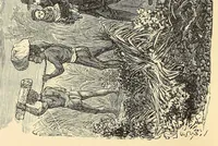 An illustration from Four years in Ashantee (1878)