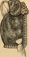 An illustration from Fox and Kelly's fashion catalogue illustrated : fall and winter 1888-9. (1888)