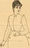 An illustration from Fox and Kelly's fashion catalogue illustrated : fall and winter 1888-9. (1888)