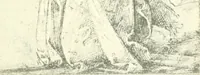 An illustration from Fra Bartolommeo und die Florentiner Renaissance (1922)