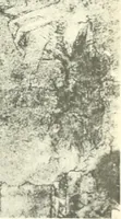 Picture 32 of 74 from Fra Bartolommeo und die Florentiner Renaissance (1922), leaf 376