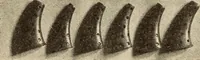 An illustration from Fractures and dislocations, diagnosis and treatment (1915)
