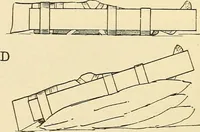 Picture 368 of 481 from Fractures and dislocations, diagnosis and treatment (1915), leaf 629