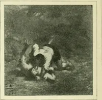 An illustration from France (1911)