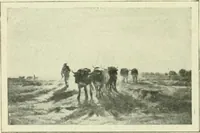 An illustration from France (1911)