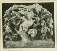An illustration from France (1911)