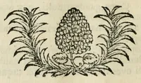 An illustration from Franc. Ern. Bruckmanni, med. doct. acad. caesar. nat. cur. et soc., reg. Pruss. Scient. Colleg. et practic. Wolffenb. Epistola itineraria I-[XII] .. (1728)