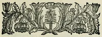 An illustration from Franc. Ern. Bruckmanni, med. doct. acad. caesar. nat. cur. et soc., reg. Pruss. Scient. Colleg. et practic. Wolffenb. Epistola itineraria I-[XII] .. (1728)