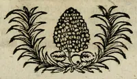 An illustration from Franc. Ern. Bruckmanni, med. doct. acad. caesar. nat. cur. et soc., reg. Pruss. Scient. Colleg. et practic. Wolffenb. Epistola itineraria I-[XII] .. (1728)