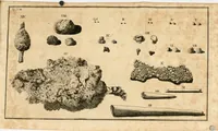 An illustration from Franc. Ern. Bruckmanni, med. doct. acad. caesar. nat. cur. et soc., reg. Pruss. Scient. Colleg. et practic. Wolffenb. Epistola itineraria I-[XII] .. (1728)