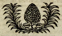 An illustration from Franc. Ern. Bruckmanni, med. doct. acad. caesar. nat. cur. et soc., reg. Pruss. Scient. Colleg. et practic. Wolffenb. Epistola itineraria I-[XII] .. (1728)