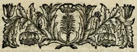 An illustration from Franc. Ern. Bruckmanni, med. doct. acad. caesar. nat. cur. et soc., reg. Pruss. Scient. Colleg. et practic. Wolffenb. Epistola itineraria I-[XII] .. (1728)