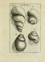 An illustration from Franc. Ern. Bruckmanni, med. doct. acad. caesar. nat. cur. et soc., reg. Pruss. Scient. Colleg. et practic. Wolffenb. Epistola itineraria I-[XII] .. (1728)