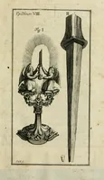 Picture 22 of 30 from Franc. Ern. Bruckmanni, med. doct. acad. caesar. nat. cur. et soc., reg. Pruss. Scient. Colleg. et practic. Wolffenb. Epistola itineraria I-[XII] .. (1728), leaf 83