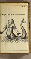 Picture 4 of 15 from Francesci Redi, nobilis Aretini, Experimenta circa res diversas naturales, speciatim illas, quae ex Indiis adfernatur. : Ex Italico Latinate donata (1675), leaf 107