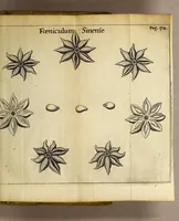 Picture 9 of 15 from Francesci Redi, nobilis Aretini, Experimenta circa res diversas naturales, speciatim illas, quae ex Indiis adfernatur. : Ex Italico Latinate donata (1675), leaf 197