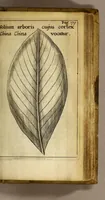 Picture 12 of 15 from Francesci Redi, nobilis Aretini, Experimenta circa res diversas naturales, speciatim illas, quae ex Indiis adfernatur. : Ex Italico Latinate donata (1675), leaf 209