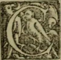 An illustration from Franciscanus & fratres, quibus accessere varia eiusdem & aliorum poemata pagina (1568)