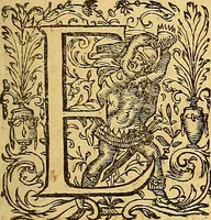 An illustration from Francisci Baconi ... Opera omnia quae extant, philosophica, moralia, politica, historica ... : in quibus complures alii tractatus, quos brevitatis causa praetermittere visum est, comprehensi sunt, hactenus nunquam conjunctim edita, jam vero summo studio collecta, uno volumine comprehensa, & ab innumeris mendis repurgata: cum indice rerum ac verborum universali absolutissimo. His praefixa est auctoris vita (1665)