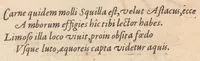 An illustration from Francisci Bovssveti Svrregiani doctoris medici, De natvra aqvatilivm carmen : in vniuersam Gvlielmi Rondeletii doctoris medici, & medicinae in schola Monspeliensi professoris regij celeberrimi historiae, quam de aquatilibus scripsit: Cum veris & natiuis eorum iconibus: Opusculum nunquàm hactenus typis excussum (1558)
