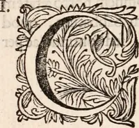 An illustration from Francisci Burmanni ... Synopsis theologiæ & speciatim oeconomiæ foederum Dei : ab initio sæculorum usque ad consummationem eorum .. (1671)