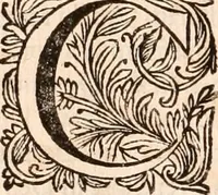 Picture 6 of 15 from Francisci Burmanni ... Synopsis theologiæ & speciatim oeconomiæ foederum Dei : ab initio sæculorum usque ad consummationem eorum .. (1671), leaf 203