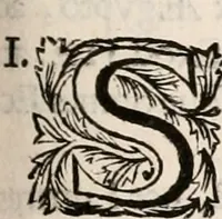 Picture 9 of 15 from Francisci Burmanni ... Synopsis theologiæ & speciatim oeconomiæ foederum Dei : ab initio sæculorum usque ad consummationem eorum .. (1671), leaf 576