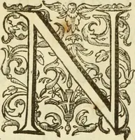 An illustration from Francisci Haraei Annales ducum seu principum Brabantiae totiusq. Belgii : tomi tres : quorum primo solius Brabantiae, secundo Belgii vniti principum res gestae, tertio belgici tumultus, vsque ad inducias anno M. DC. IX. pactas, enarrantur : cum ducum seu principum imaginibus, et breui rerum per omnem Europam illustrium narratione (1623)