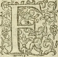 An illustration from Francisci Haraei Annales ducum seu principum Brabantiae totiusq. Belgii : tomi tres : quorum primo solius Brabantiae, secundo Belgii vniti principum res gestae, tertio belgici tumultus, vsque ad inducias anno M. DC. IX. pactas, enarrantur : cum ducum seu principum imaginibus, et breui rerum per omnem Europam illustrium narratione (1623)