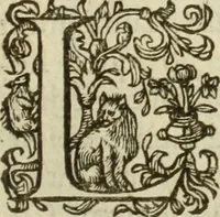 An illustration from Francisci Haraei Annales ducum seu principum Brabantiae totiusq. Belgii : tomi tres : quorum primo solius Brabantiae, secundo Belgii vniti principum res gestae, tertio belgici tumultus, vsque ad inducias anno M. DC. IX. pactas, enarrantur : cum ducum seu principum imaginibus, et breui rerum per omnem Europam illustrium narratione (1623)