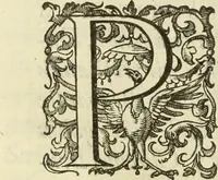 An illustration from Francisci Haraei Annales ducum seu principum Brabantiae totiusq. Belgii : tomi tres : quorum primo solius Brabantiae, secundo Belgii vniti principum res gestae, tertio belgici tumultus, vsque ad inducias anno M. DC. IX. pactas, enarrantur : cum ducum seu principum imaginibus, et breui rerum per omnem Europam illustrium narratione (1623)