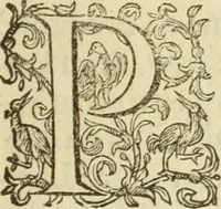 An illustration from Francisci Haraei Annales ducum seu principum Brabantiae totiusq. Belgii : tomi tres : quorum primo solius Brabantiae, secundo Belgii vniti principum res gestae, tertio belgici tumultus, vsque ad inducias anno M. DC. IX. pactas, enarrantur : cum ducum seu principum imaginibus, et breui rerum per omnem Europam illustrium narratione (1623)
