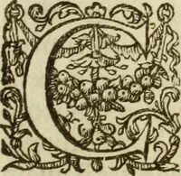 An illustration from Francisci Haraei Annales ducum seu principum Brabantiae totiusq. Belgii : tomi tres : quorum primo solius Brabantiae, secundo Belgii vniti principum res gestae, tertio belgici tumultus, vsque ad inducias anno M. DC. IX. pactas, enarrantur : cum ducum seu principum imaginibus, et breui rerum per omnem Europam illustrium narratione (1623)
