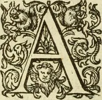An illustration from Francisci Haraei Annales ducum seu principum Brabantiae totiusq. Belgii : tomi tres : quorum primo solius Brabantiae, secundo Belgii vniti principum res gestae, tertio belgici tumultus, vsque ad inducias anno M. DC. IX. pactas, enarrantur : cum ducum seu principum imaginibus, et breui rerum per omnem Europam illustrium narratione (1623)