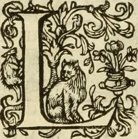 An illustration from Francisci Haraei Annales ducum seu principum Brabantiae totiusq. Belgii : tomi tres : quorum primo solius Brabantiae, secundo Belgii vniti principum res gestae, tertio belgici tumultus, vsque ad inducias anno M. DC. IX. pactas, enarrantur : cum ducum seu principum imaginibus, et breui rerum per omnem Europam illustrium narratione (1623)