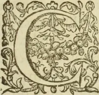 An illustration from Francisci Haraei Annales ducum seu principum Brabantiae totiusq. Belgii : tomi tres : quorum primo solius Brabantiae, secundo Belgii vniti principum res gestae, tertio belgici tumultus, vsque ad inducias anno M. DC. IX. pactas, enarrantur : cum ducum seu principum imaginibus, et breui rerum per omnem Europam illustrium narratione (1623)
