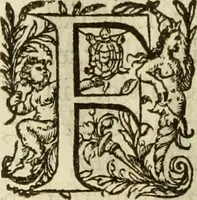 An illustration from Francisci Haraei Annales ducum seu principum Brabantiae totiusq. Belgii : tomi tres : quorum primo solius Brabantiae, secundo Belgii vniti principum res gestae, tertio belgici tumultus, vsque ad inducias anno M. DC. IX. pactas, enarrantur : cum ducum seu principum imaginibus, et breui rerum per omnem Europam illustrium narratione (1623)