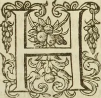 An illustration from Francisci Haraei Annales ducum seu principum Brabantiae totiusq. Belgii : tomi tres : quorum primo solius Brabantiae, secundo Belgii vniti principum res gestae, tertio belgici tumultus, vsque ad inducias anno M. DC. IX. pactas, enarrantur : cum ducum seu principum imaginibus, et breui rerum per omnem Europam illustrium narratione (1623)